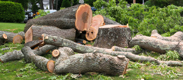 Best Arborist Consultation Services  in Gurdon, AR